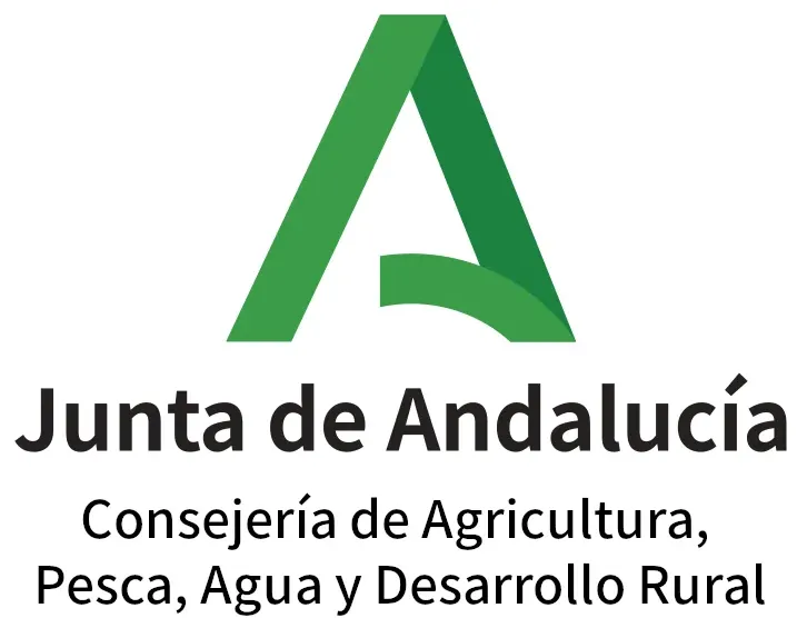 Junta logo